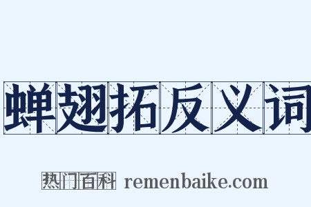 蝉翅拓反义词是什么意思的图片